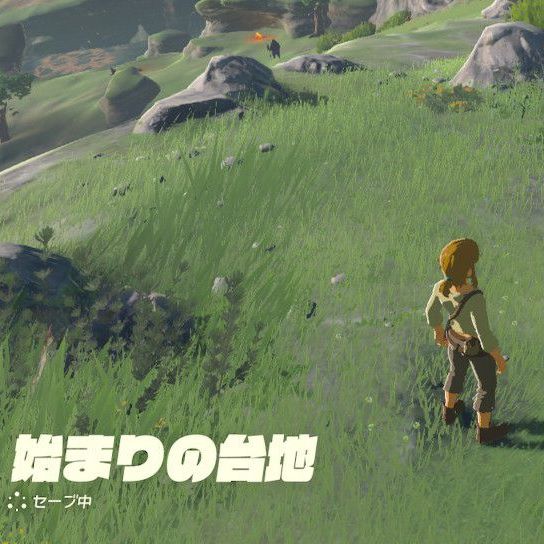 ゼルダの伝説　ブレス　オブ　ザ　ワイルド TIPS